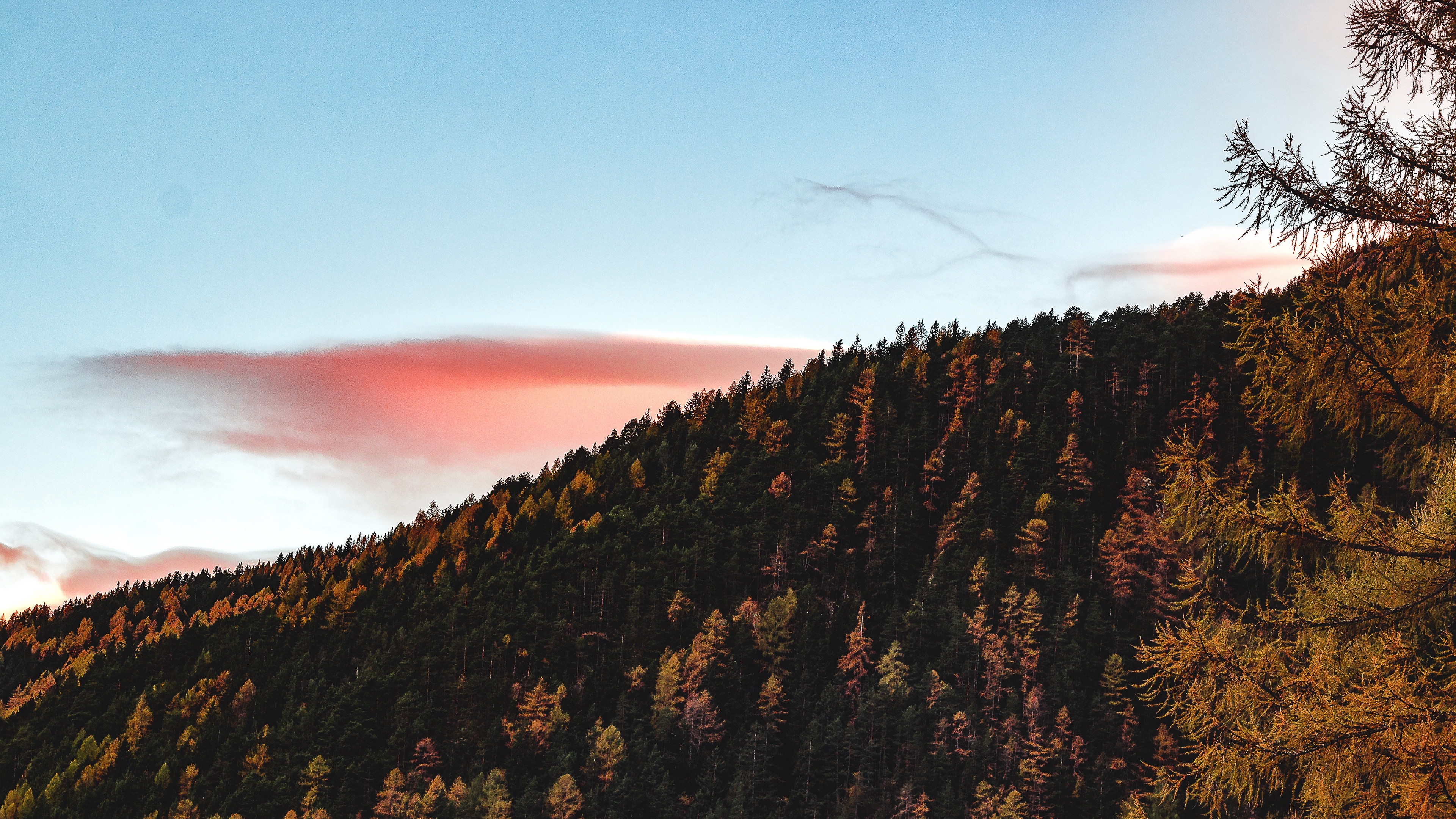 trees sky autumn hill 4k 1541114076