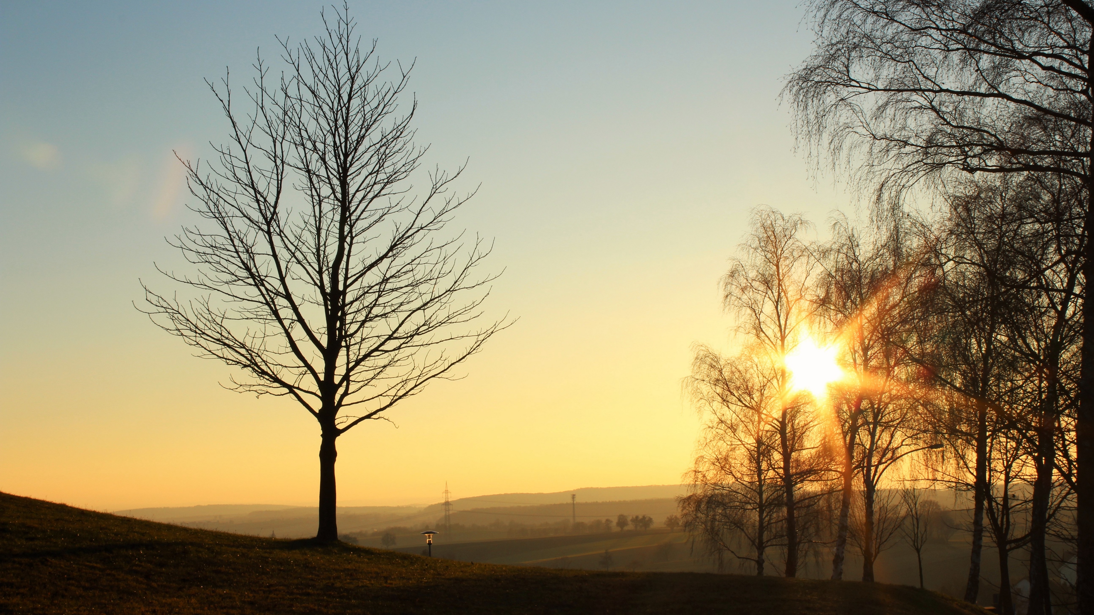 trees sunset light 4k 1541116374