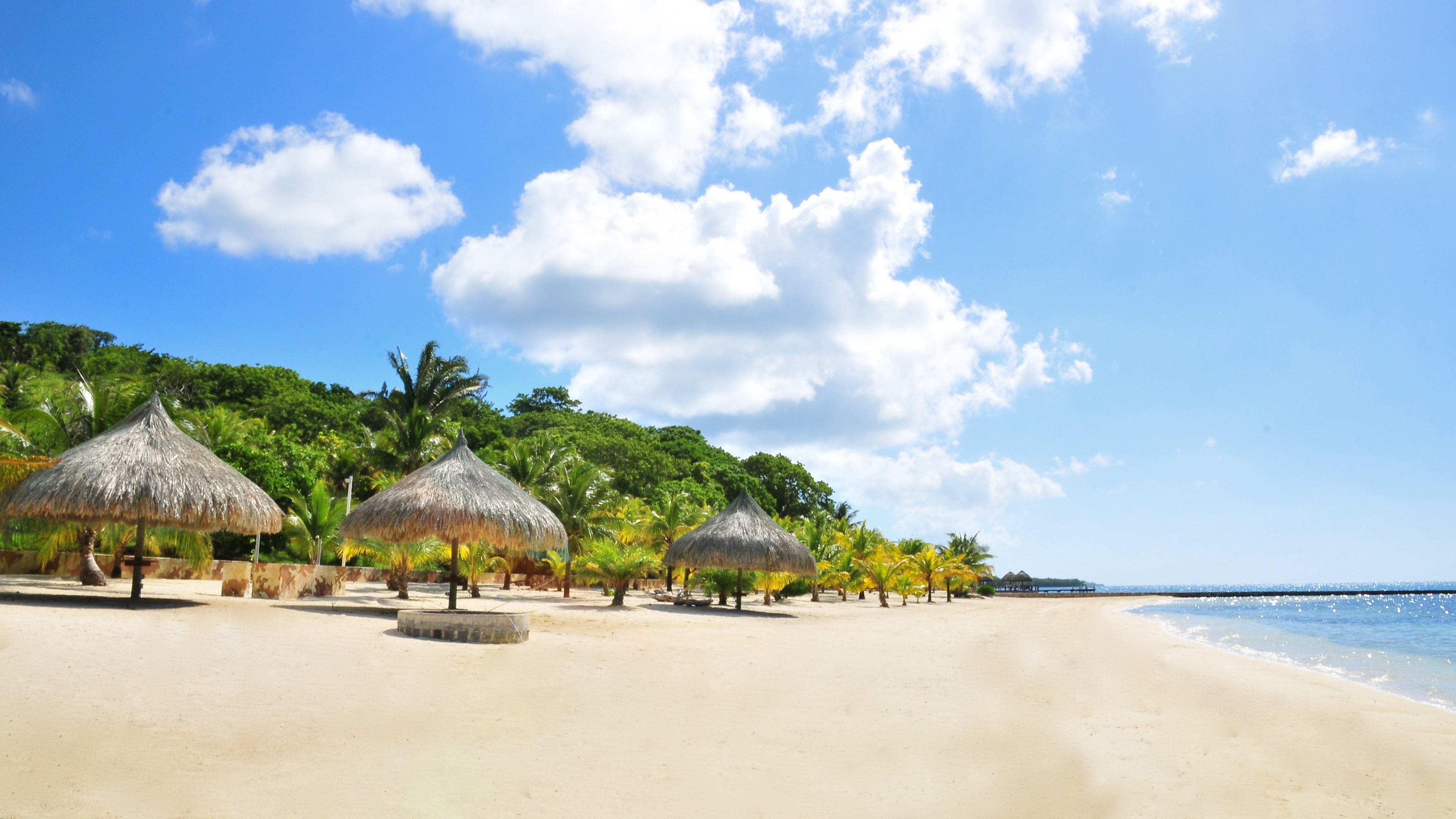 tropics beach palm trees sand 4k 1541117556