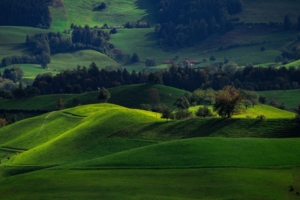 valley green field hirzel switzerland 4k 1541113683