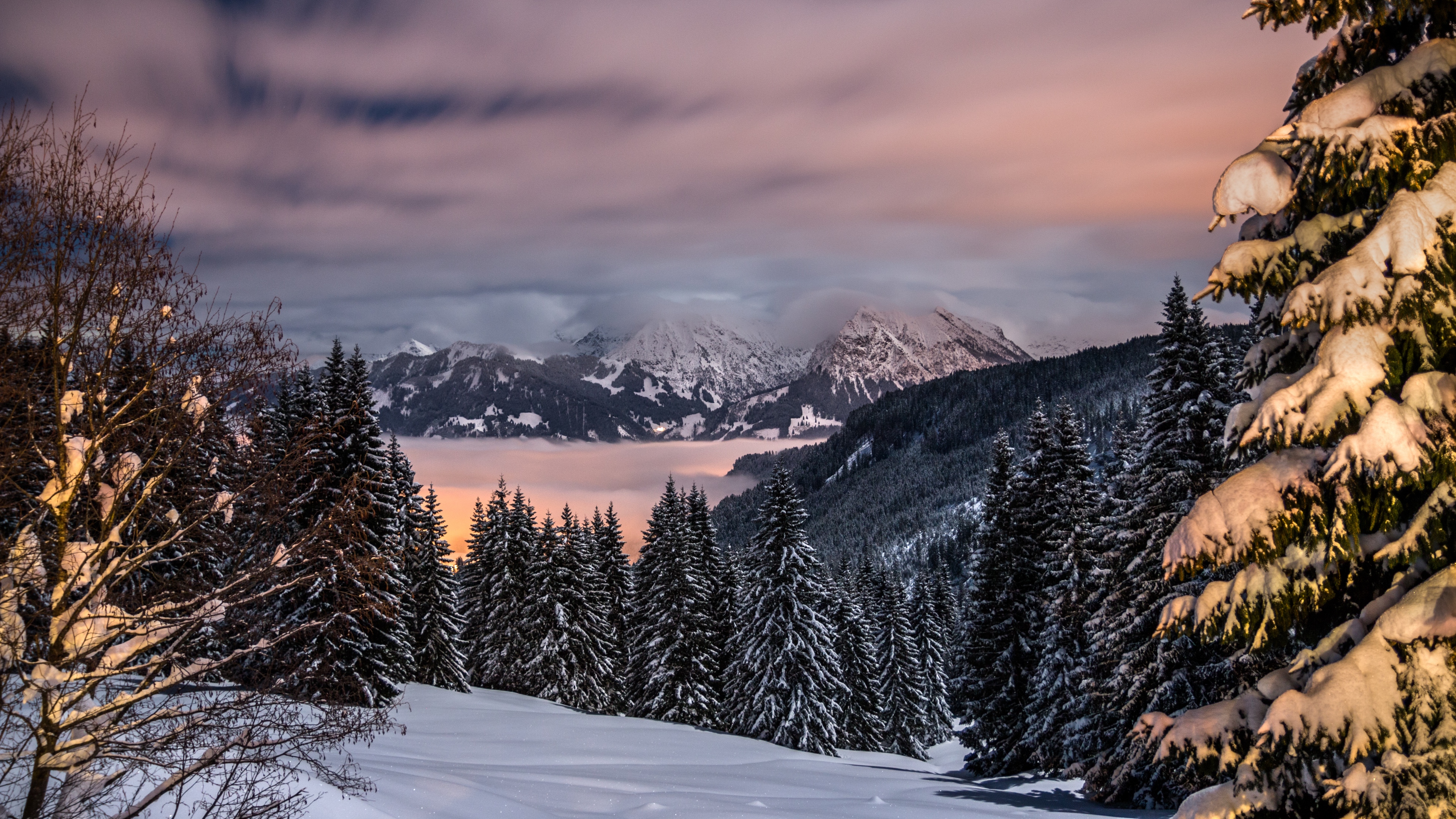 winter mountains snow trees bavaria germany 4k 1541113525