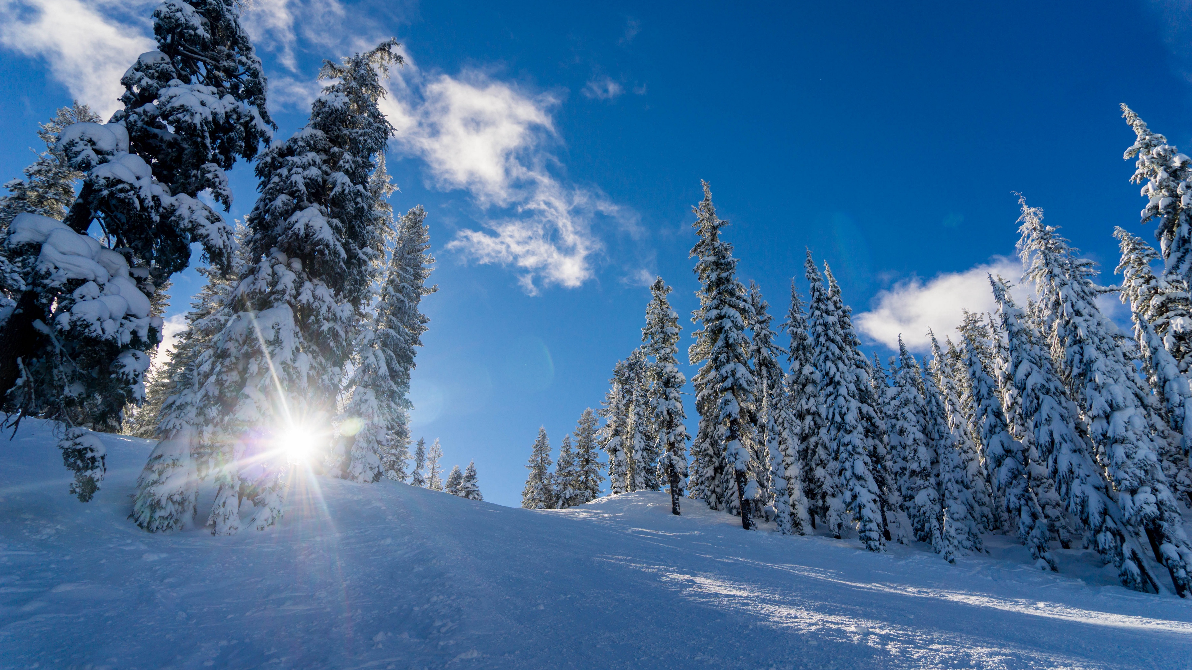 winter snow sunlight trees 4k 1541117797