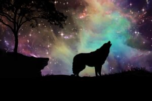 wolf starry sky silhouette art 4k 1542824454