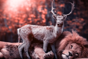 lion deer 4k 1546279504