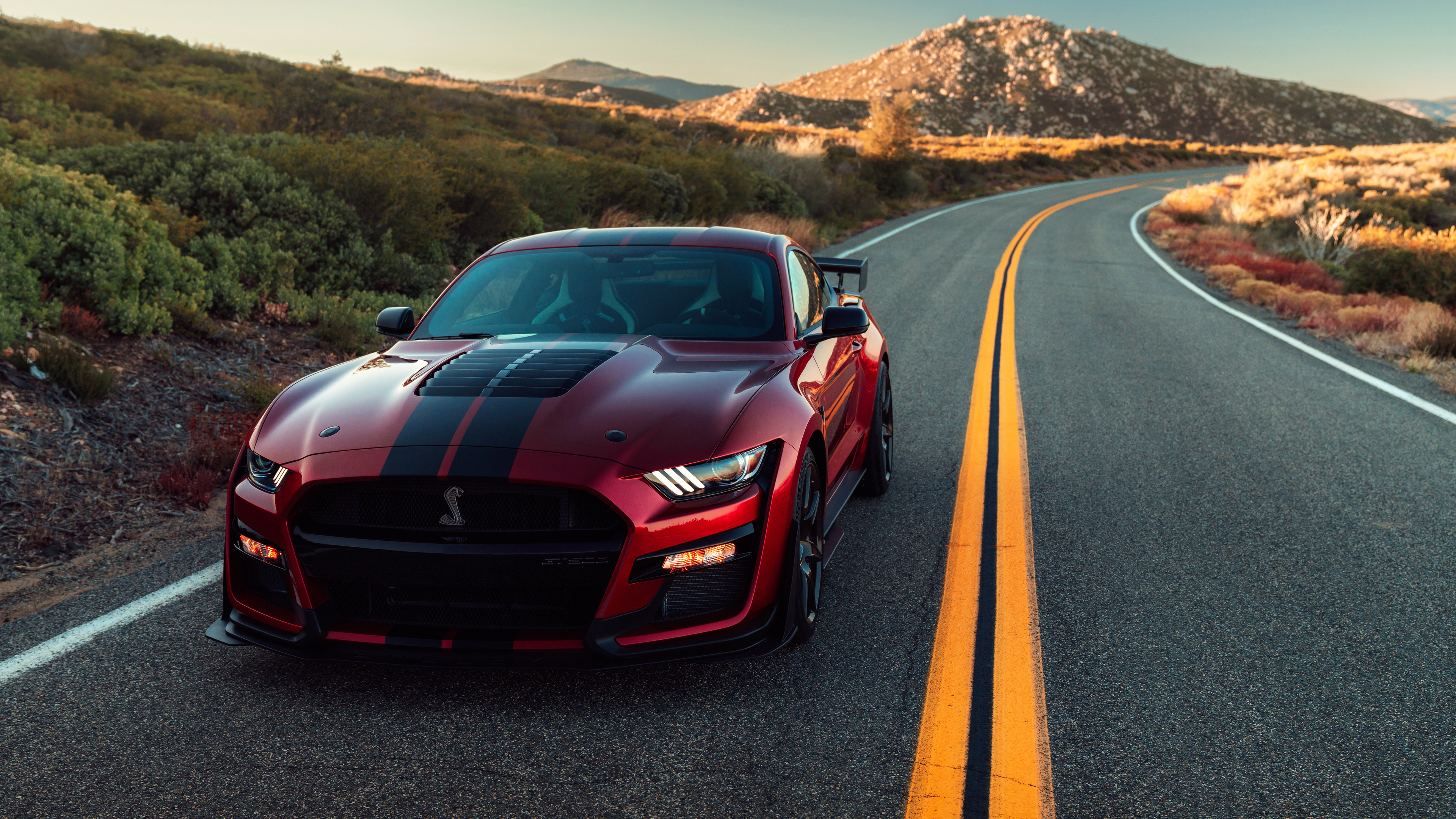 2020-Ford-Mustang-Shelby-GT500-4k-shelby-wallpapers,-hd-...