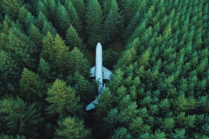 plane in middle of forest 4k 1547938006