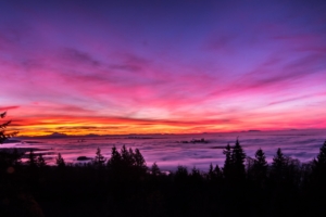 backlit bright pink sunset landscape 4k 1551643272