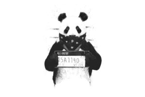 bad panda 4k 1551641511