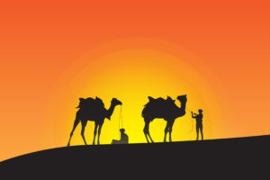 camel leaders silhouette 4k 1551642327