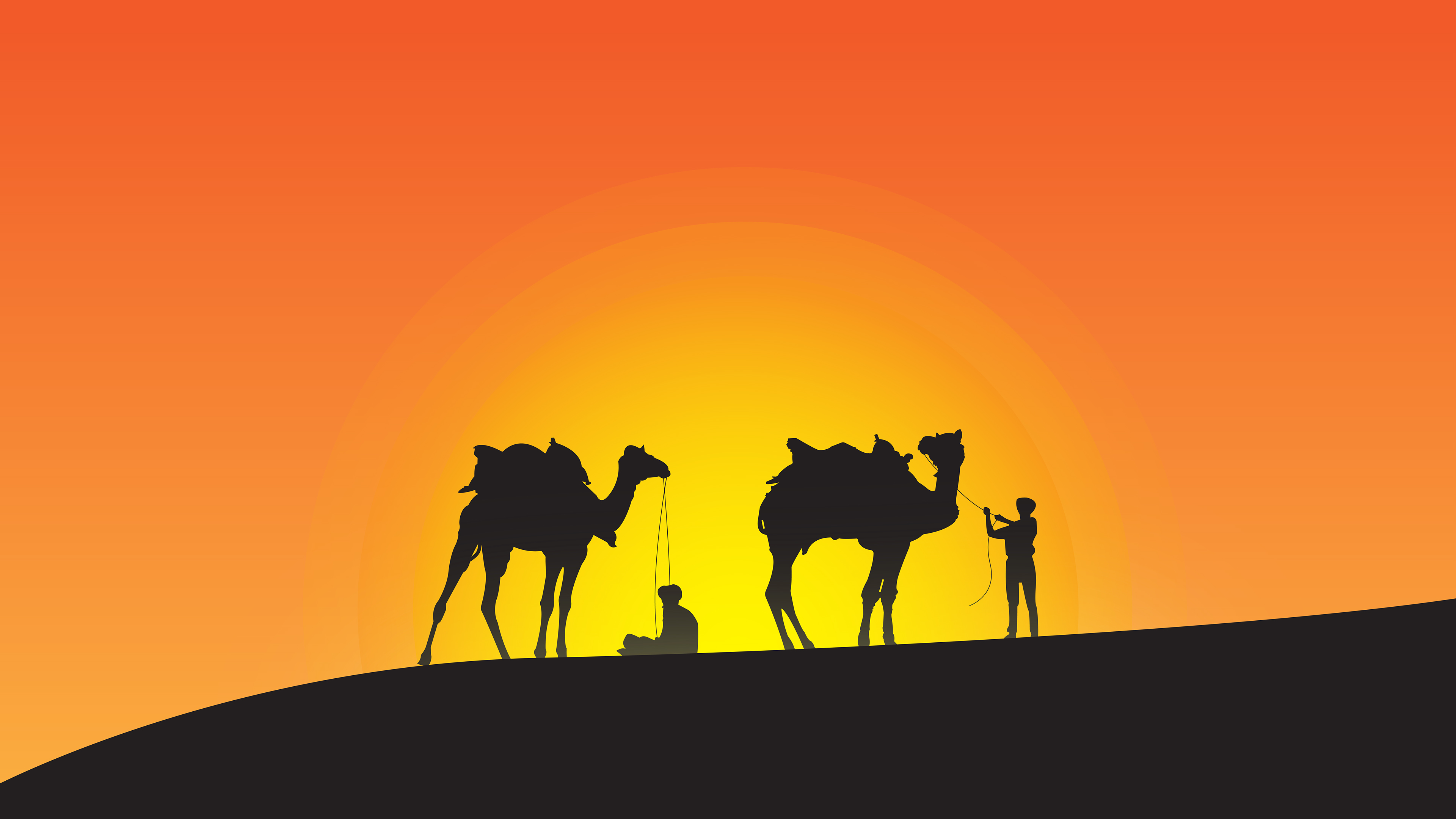 camel leaders silhouette 4k 1551642327