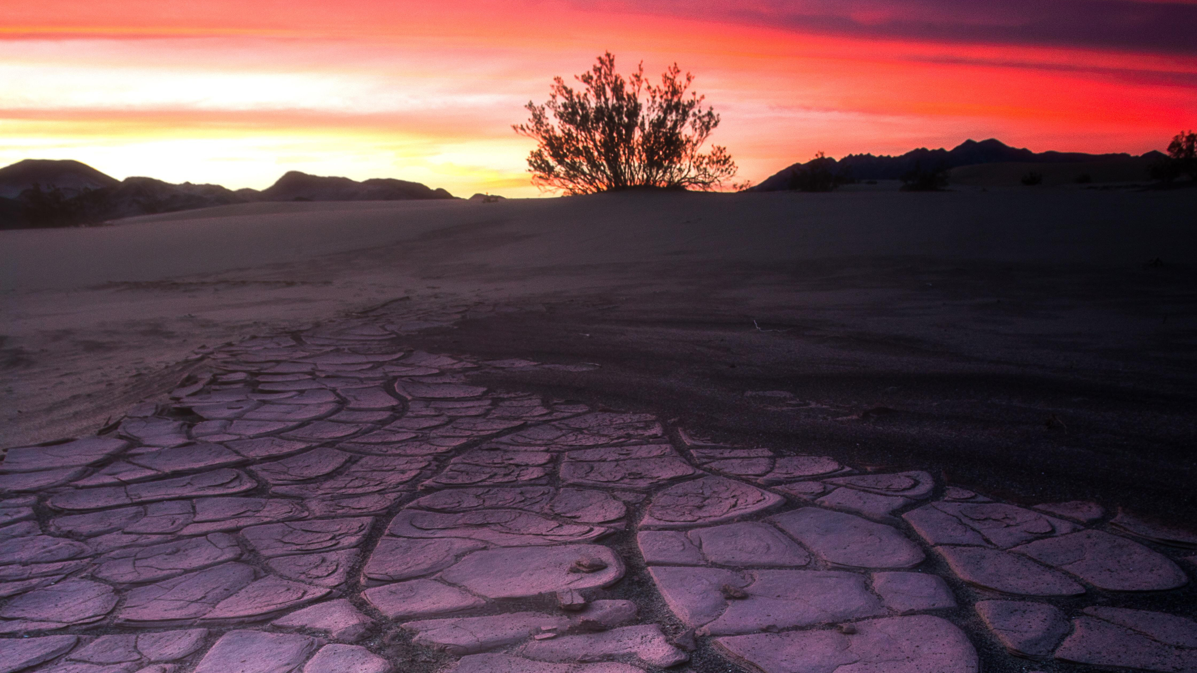 death valley mud crack lone tree 4k 1551644662