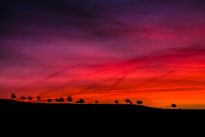 early morning dark red scenery 4k 1551644275