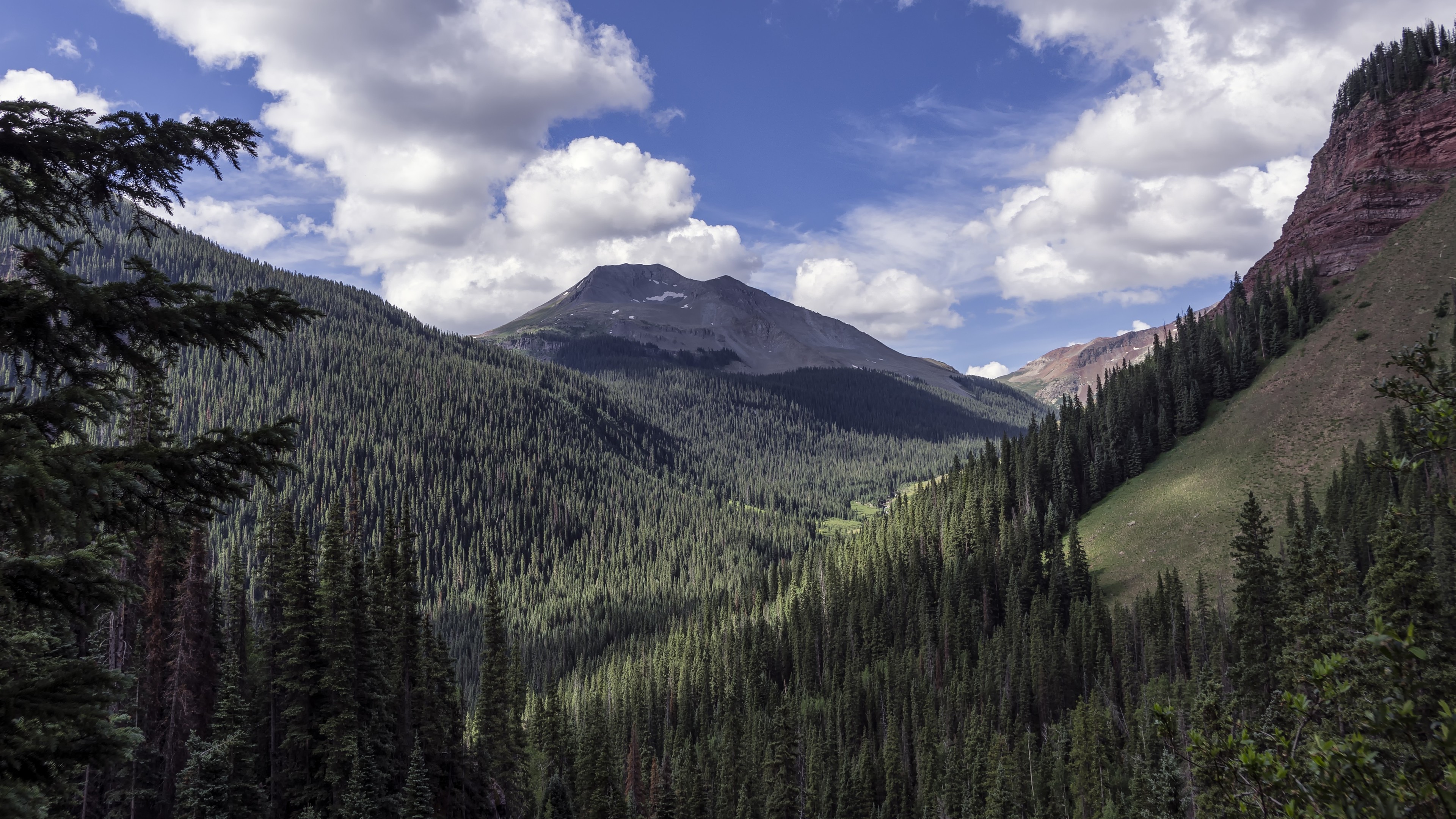 landscape valley forest 4k 1551644293