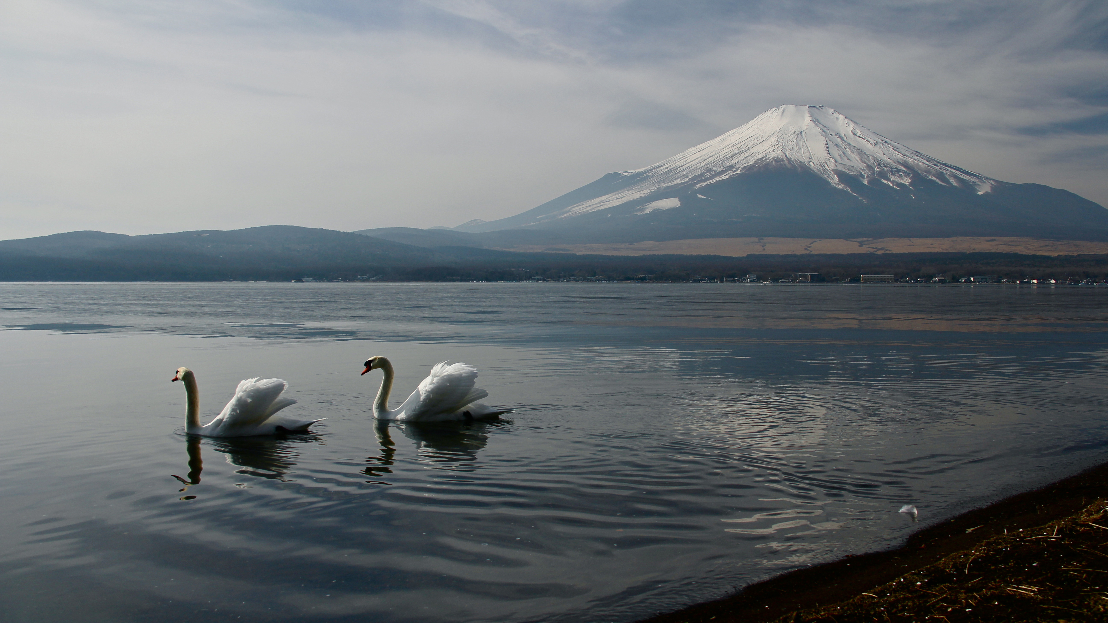 mount fuji landscape view ducks 4k 1551643720