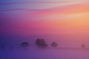 pastel morning 4k 1551644192