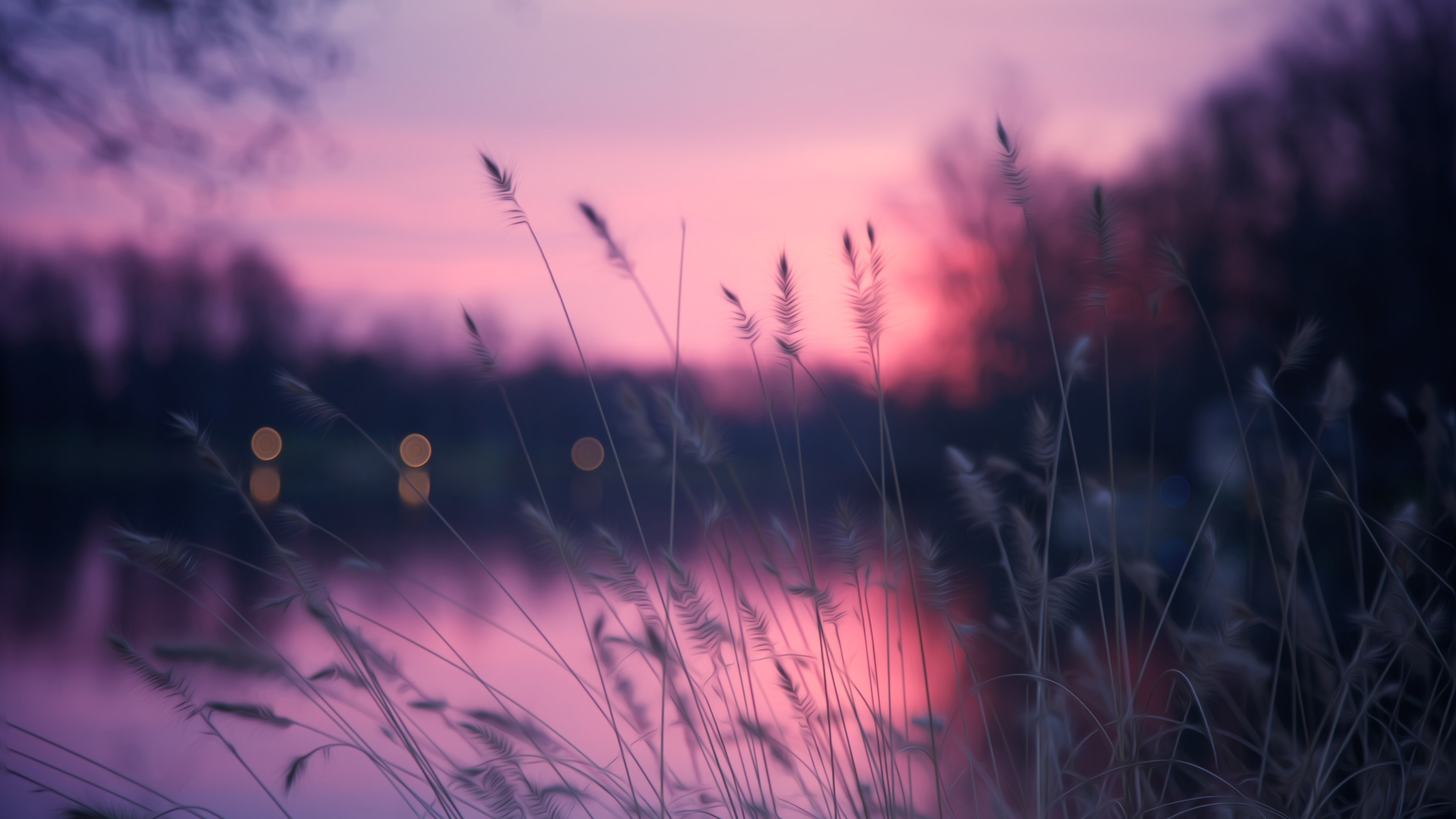 plants spike lake reeds 4k 1551643718