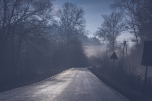 road tree mist 4k 1551643612