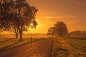 scenic road sunrise sunset trees meadow 1551644501