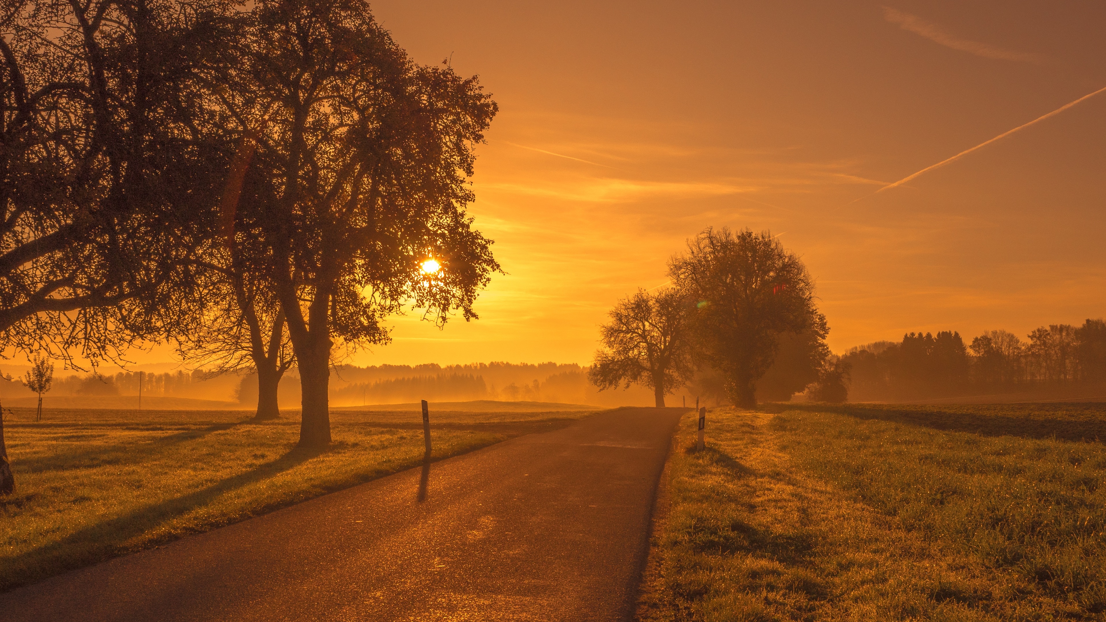 scenic road sunrise sunset trees meadow 1551644501