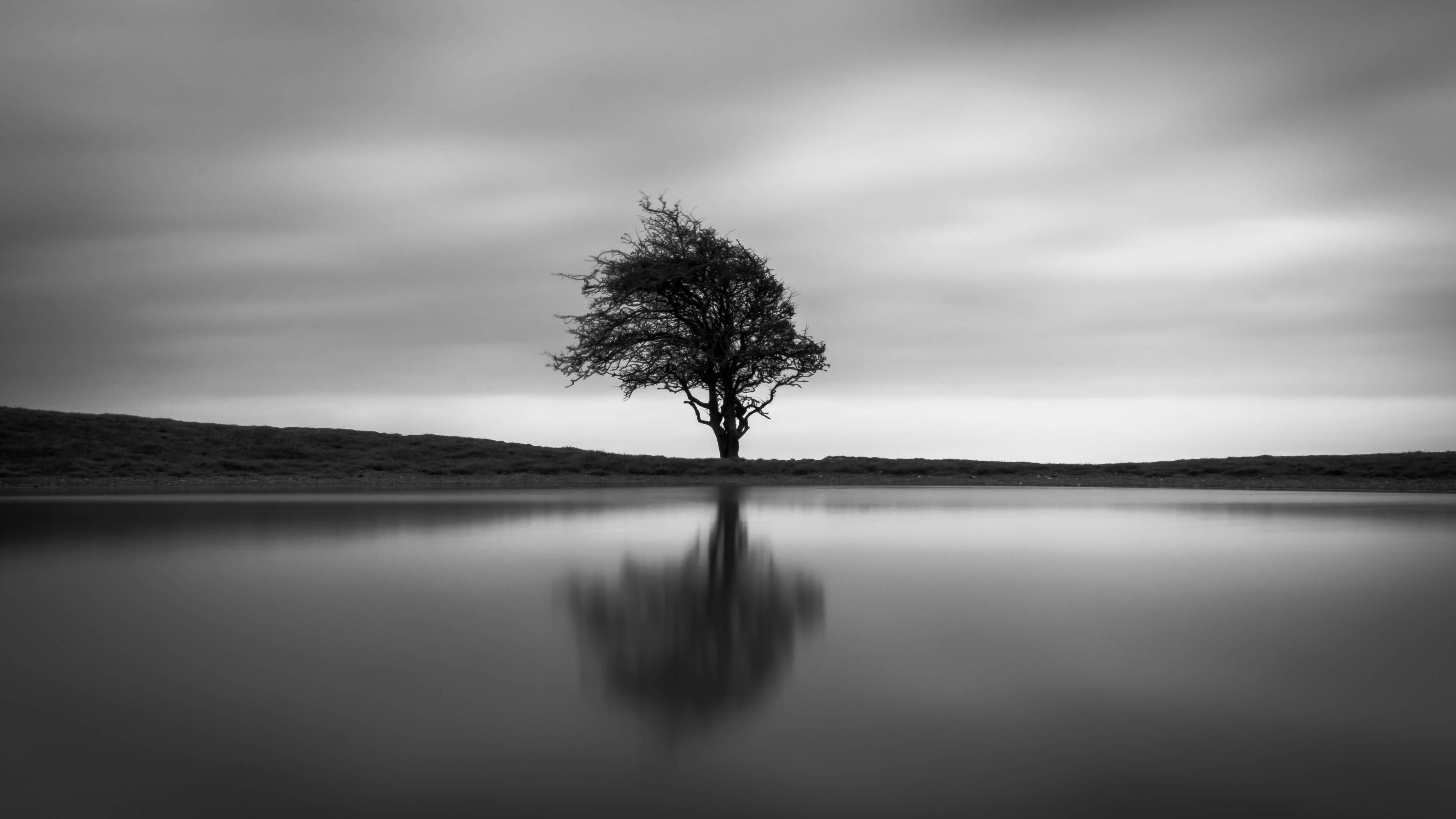 Featured image of post Nature Black And White 4K Wallpaper