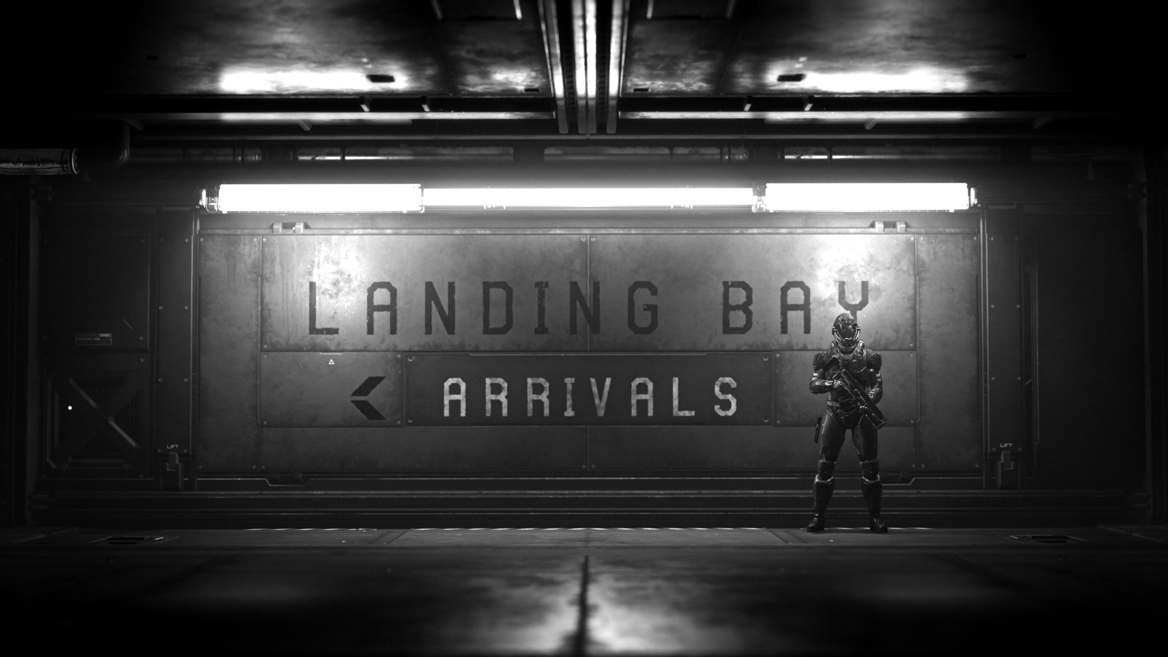 star citizen landing bay 4k 1553075098