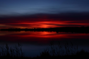 sun setting over a pond near montpellier france 1551644848