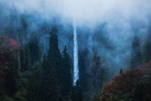 waterfall borcka karagol in turkey 4k 1551644654