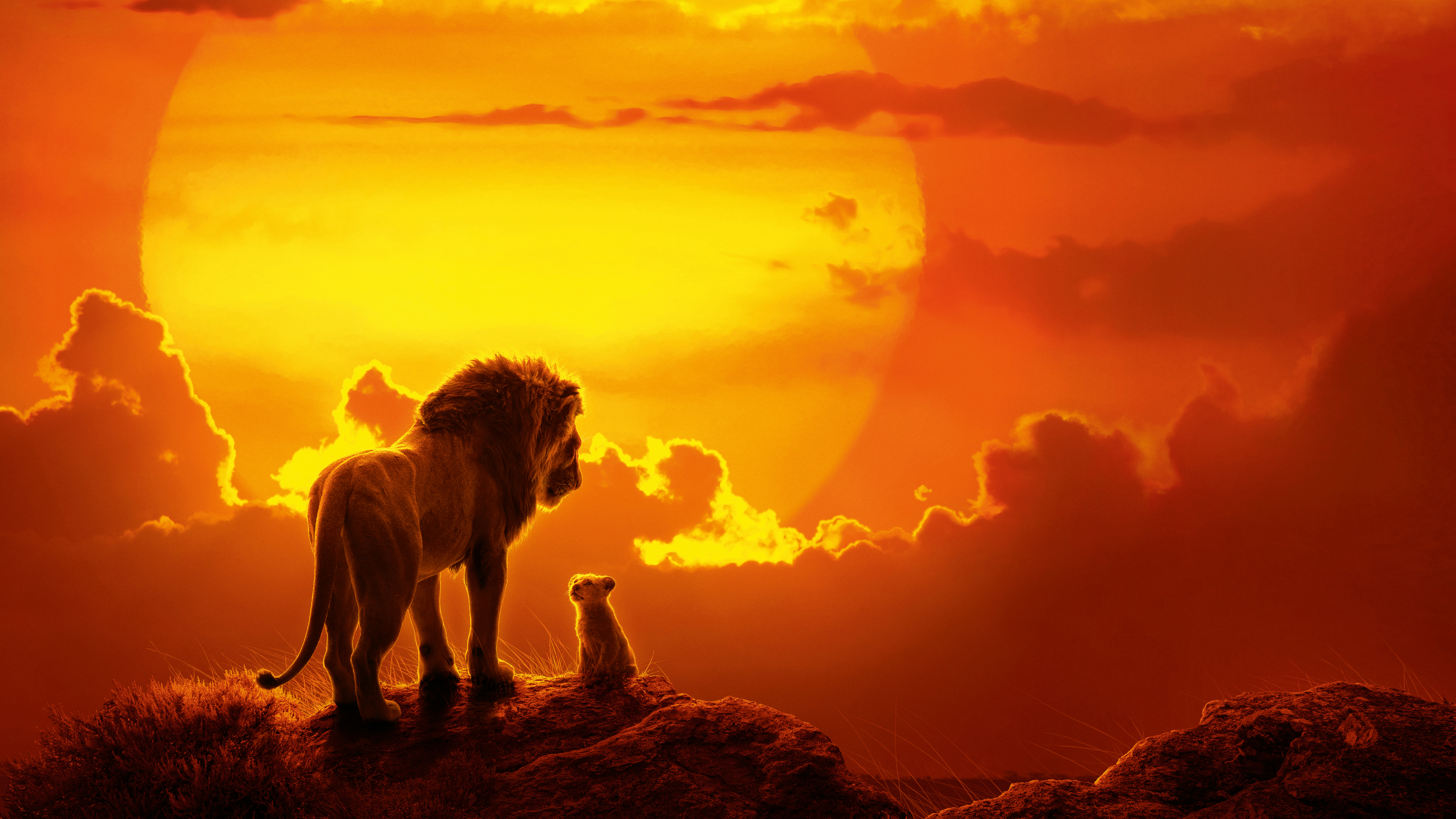 the lion king movie 1562107252