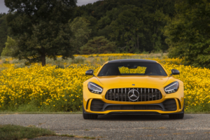 2020 mercedes amg gt r 1569189646