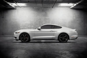 mustang 1569188388