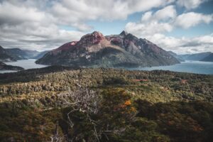 aerial photography forest to the lake and the mountains 1574937649