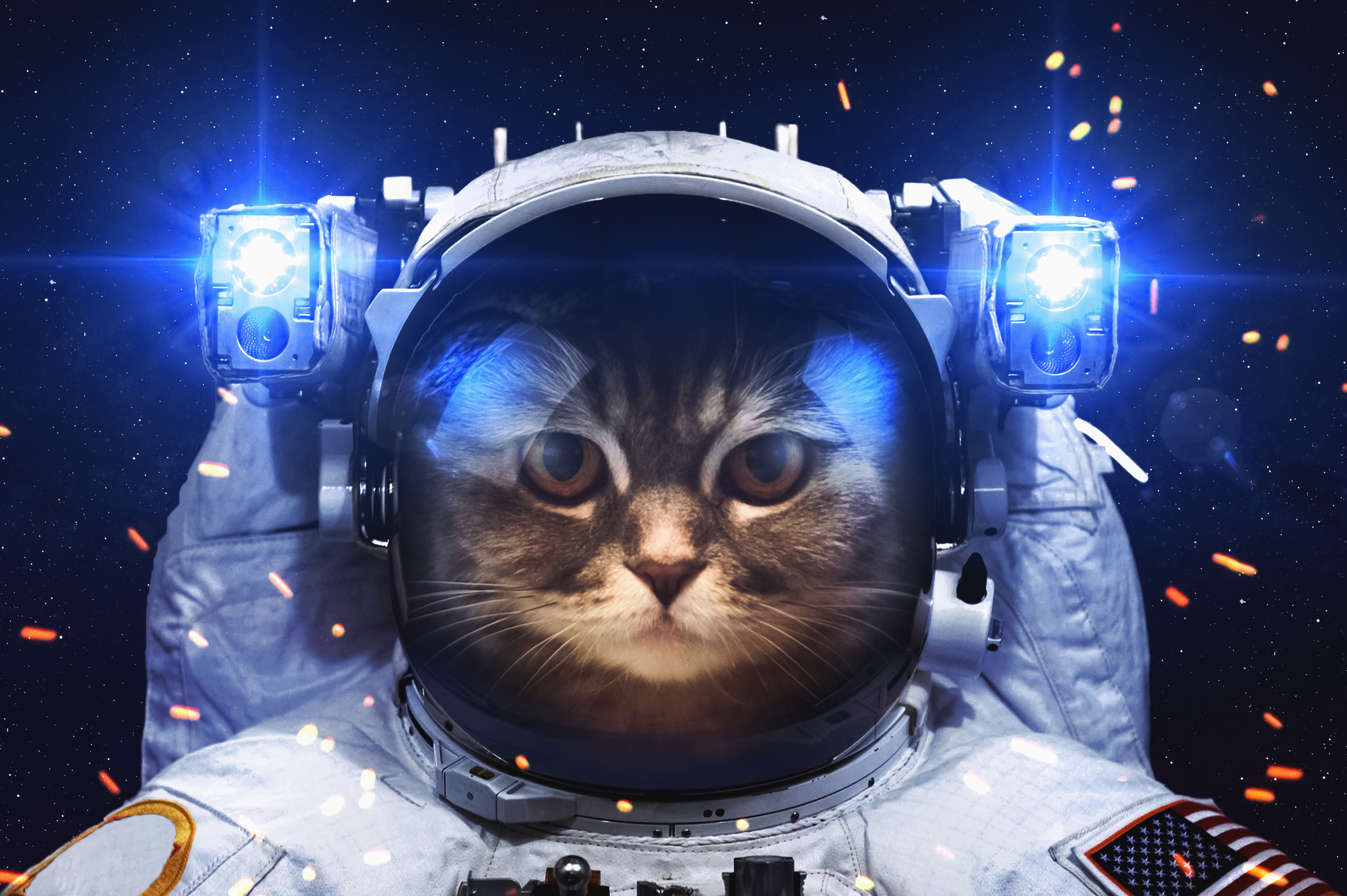 astronaut cat 1574938848