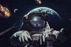 cat in space 1574941301