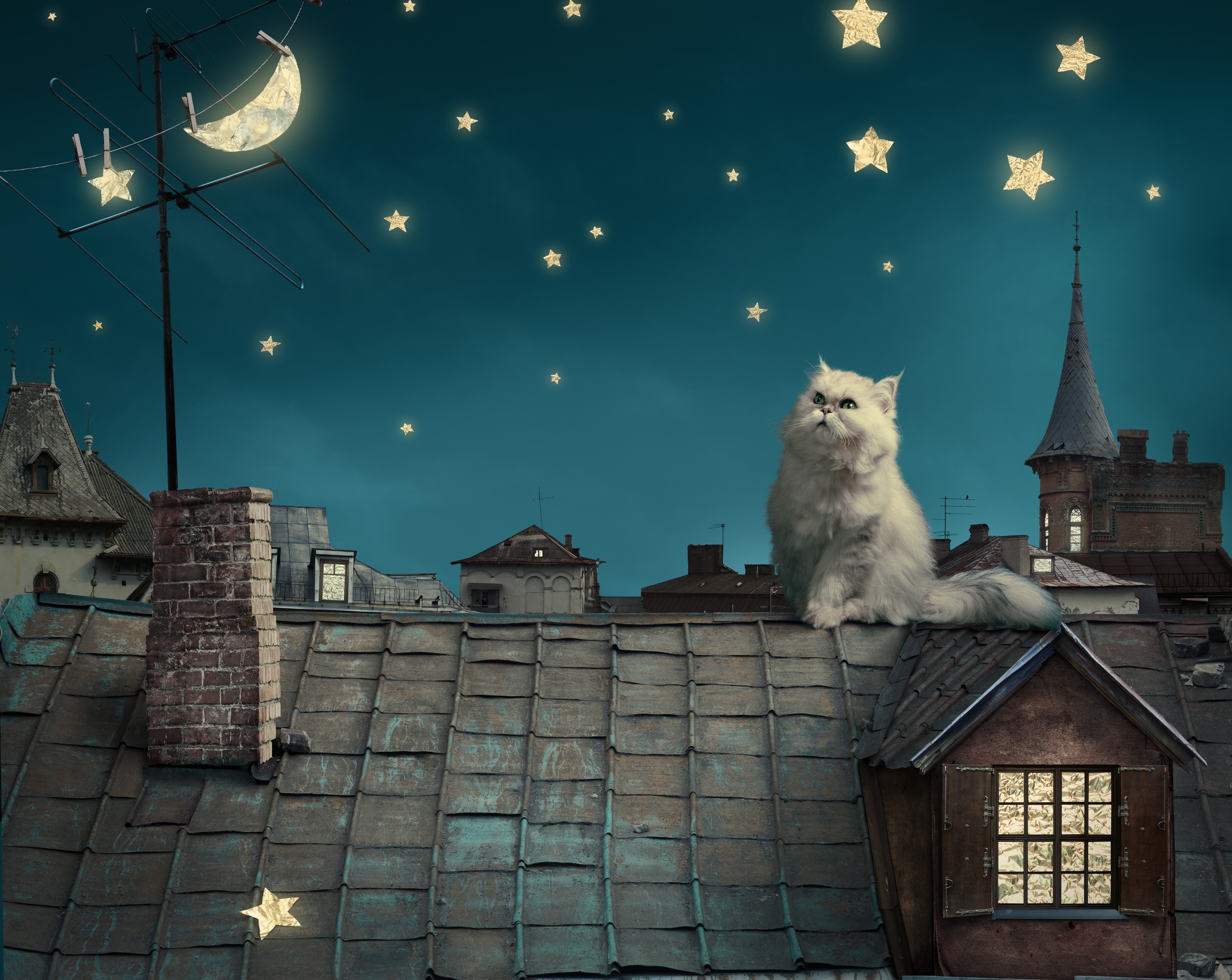 cat moon stars digital art dreamy 1574938041