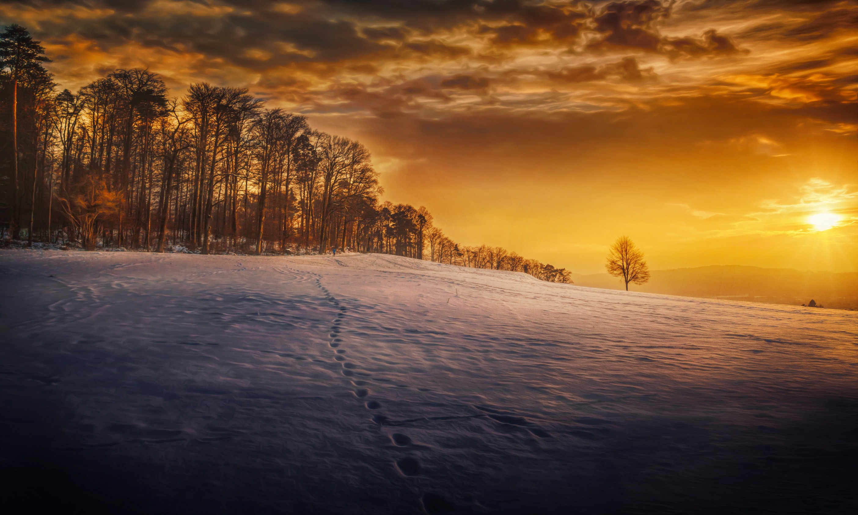 evening snow landscape trees 1574939591