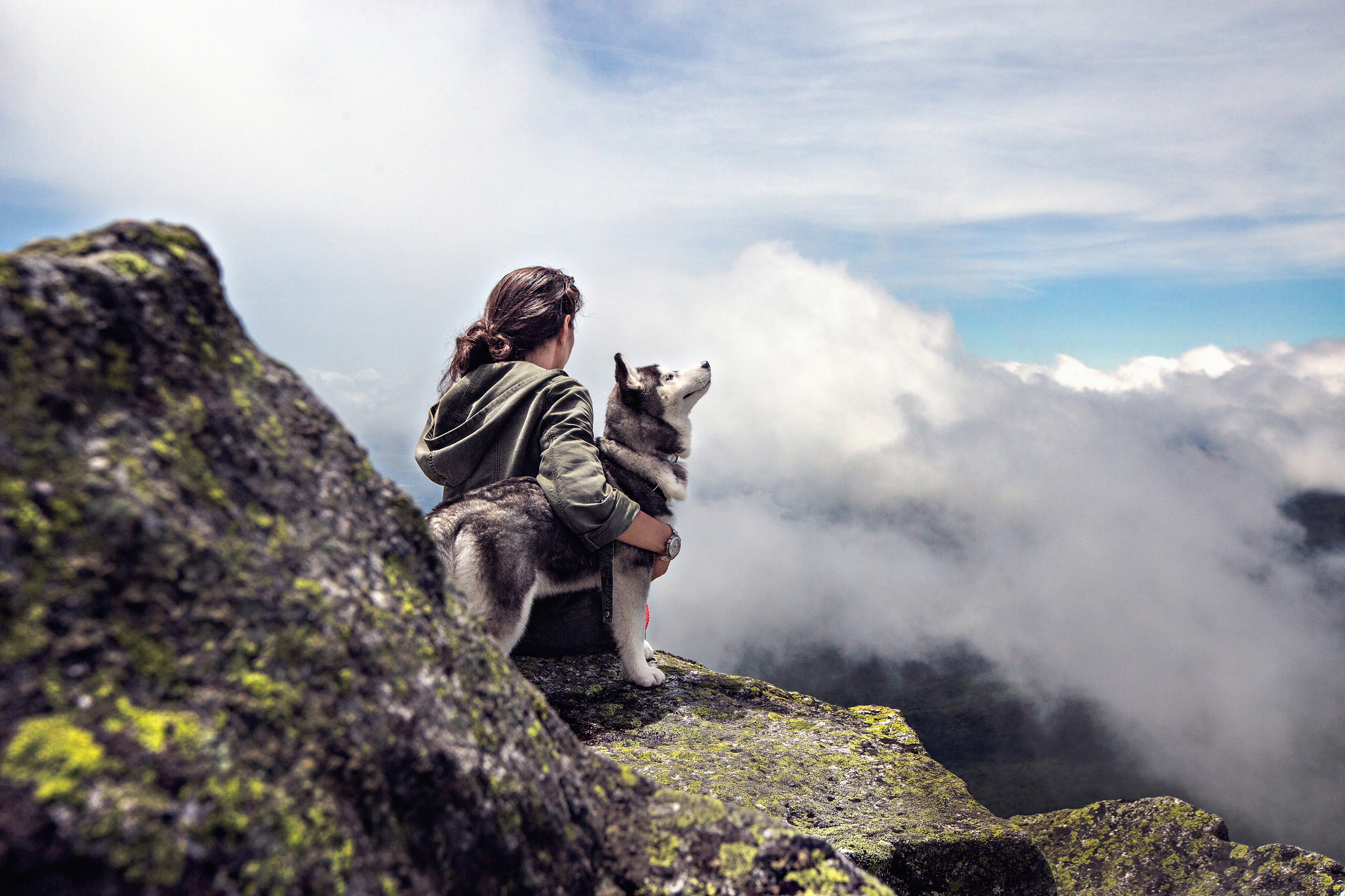 girl with siberian husky 1574938466