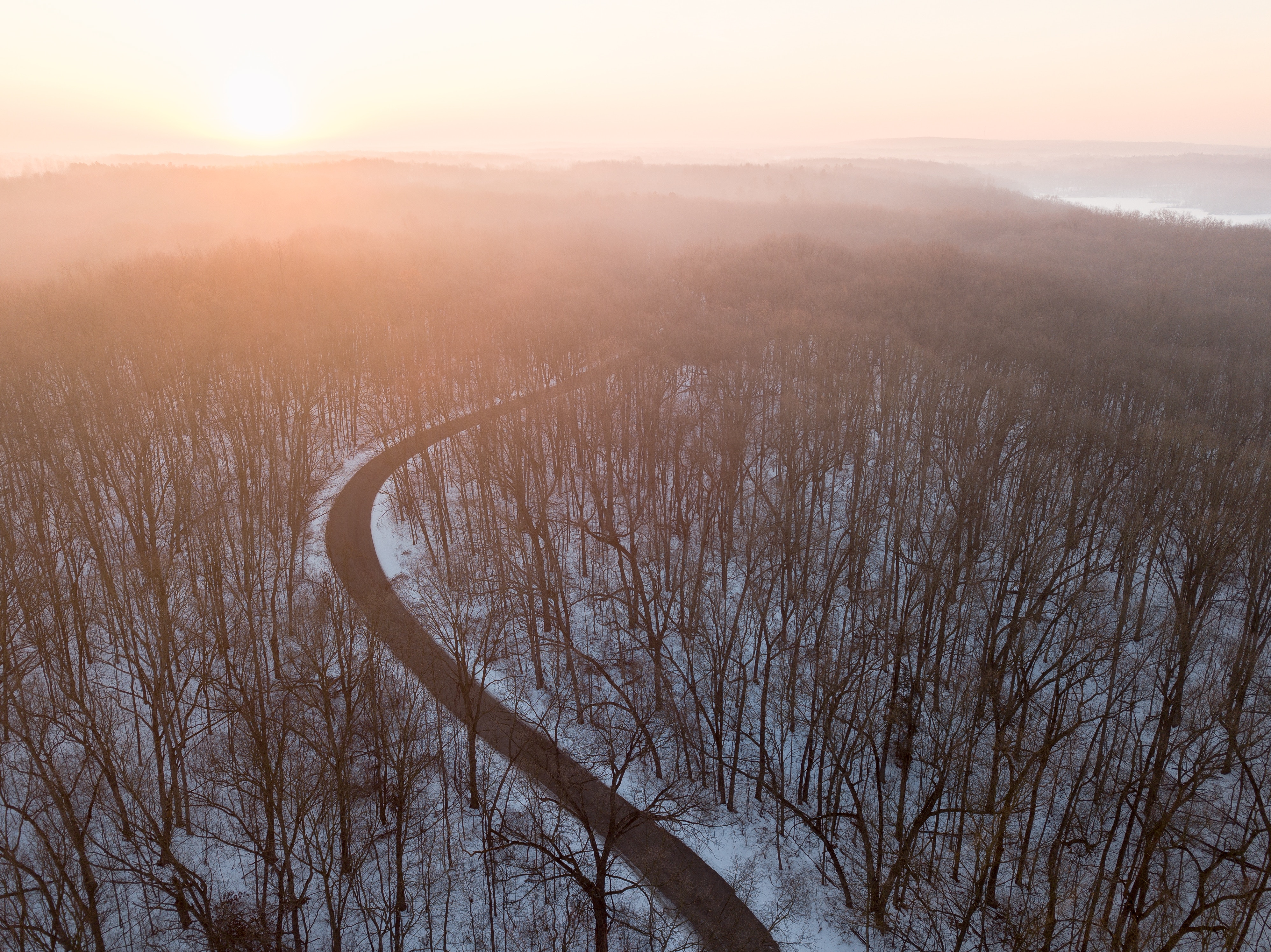 light flare trees forest road snow 1574939565