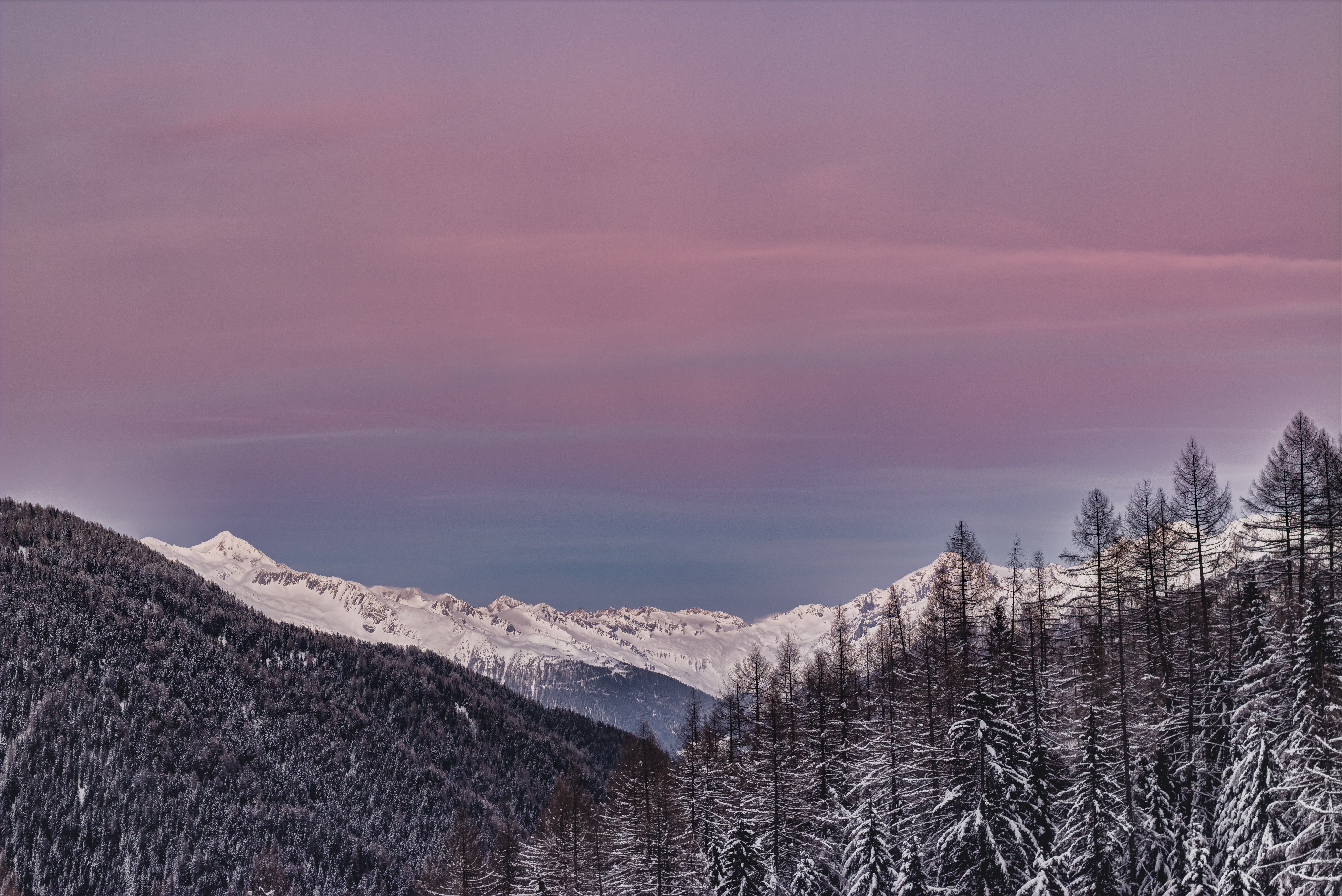 mountain covered with snow and surrounedd in trees 1574939378