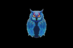 owl dark 1574938113