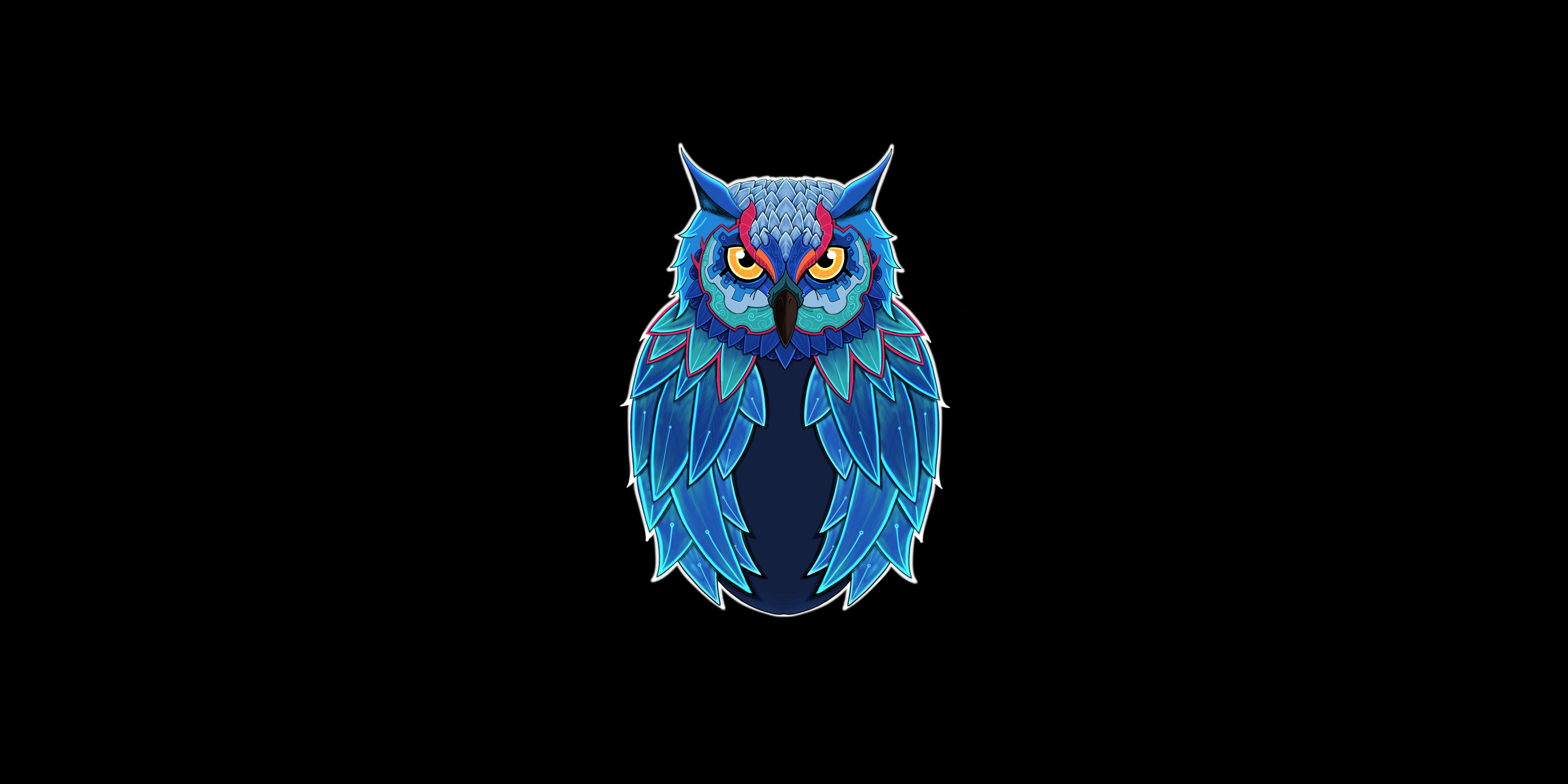 Owl Minimal 4k HD Artist 4k Wallpapers Images Backgrounds Photos and  Pictures