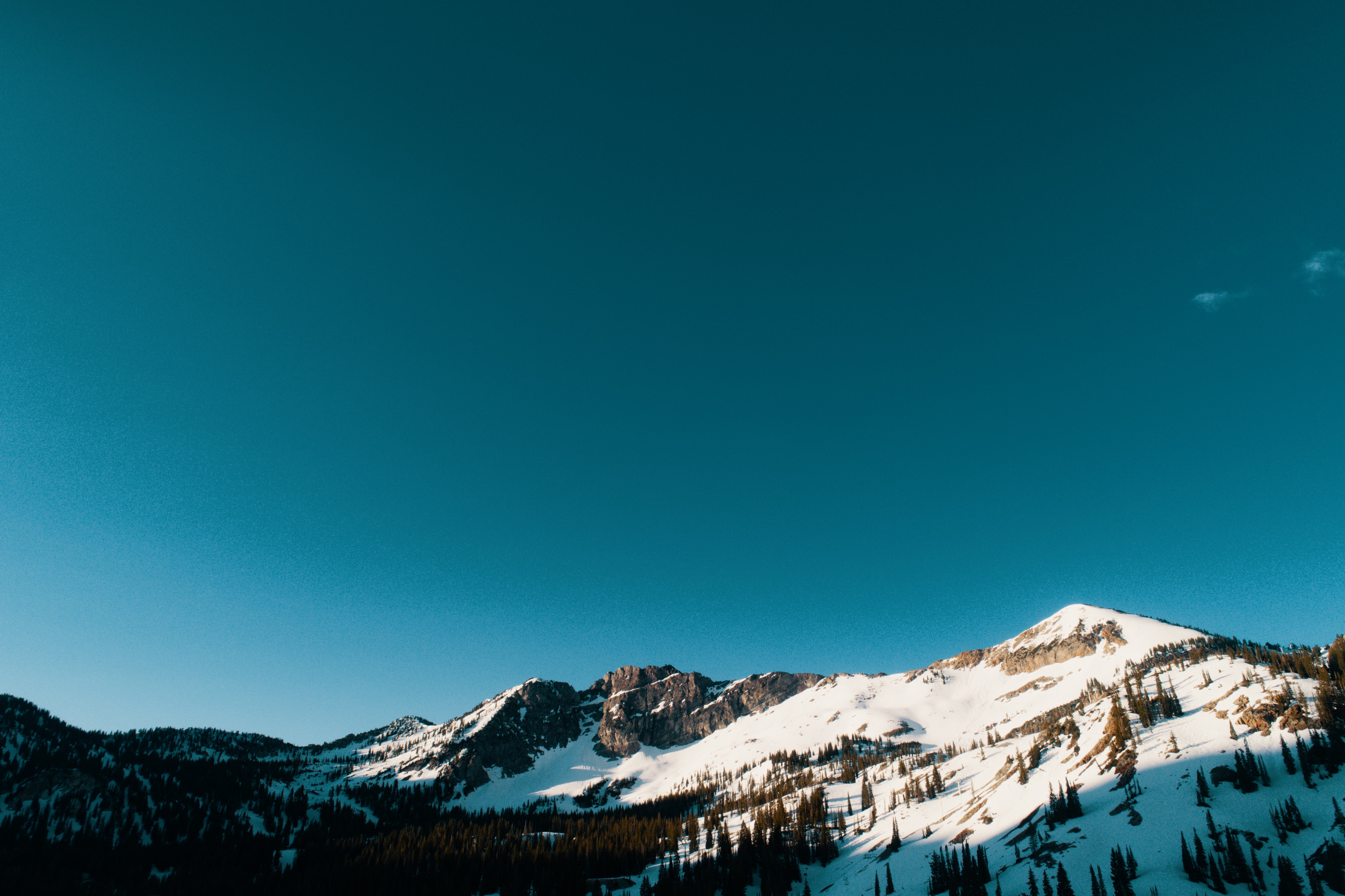 snow capped mountains and trees 1574939576