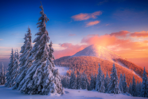 snowy pine trees and mountains 1574939664