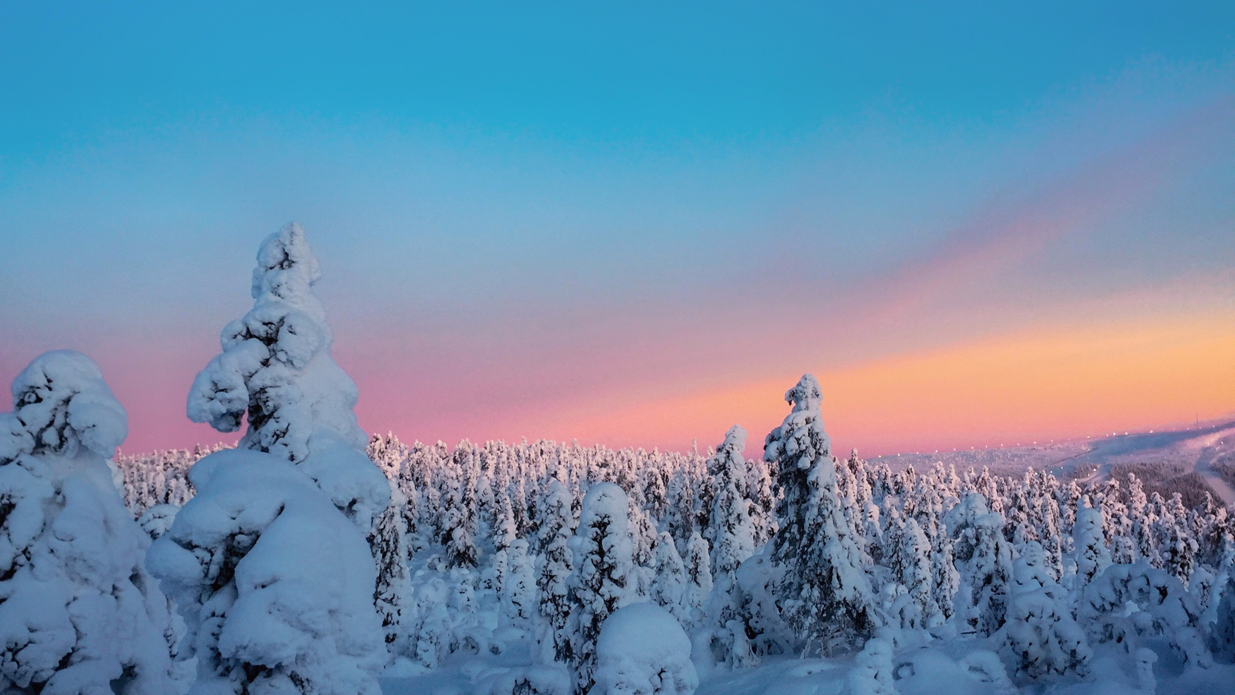 trees covered with snow view 1574939432