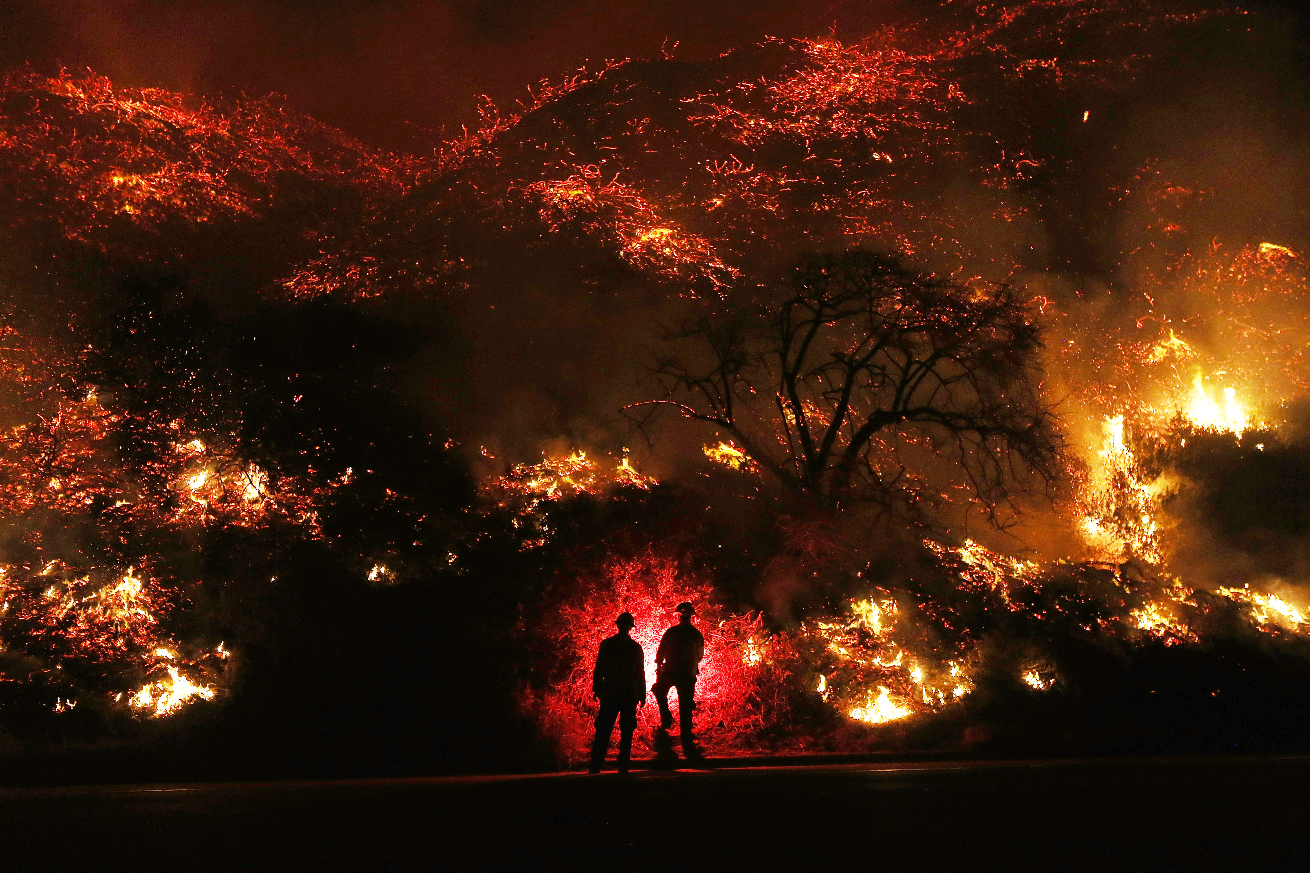 two man standing in front of forest fire 1574938702