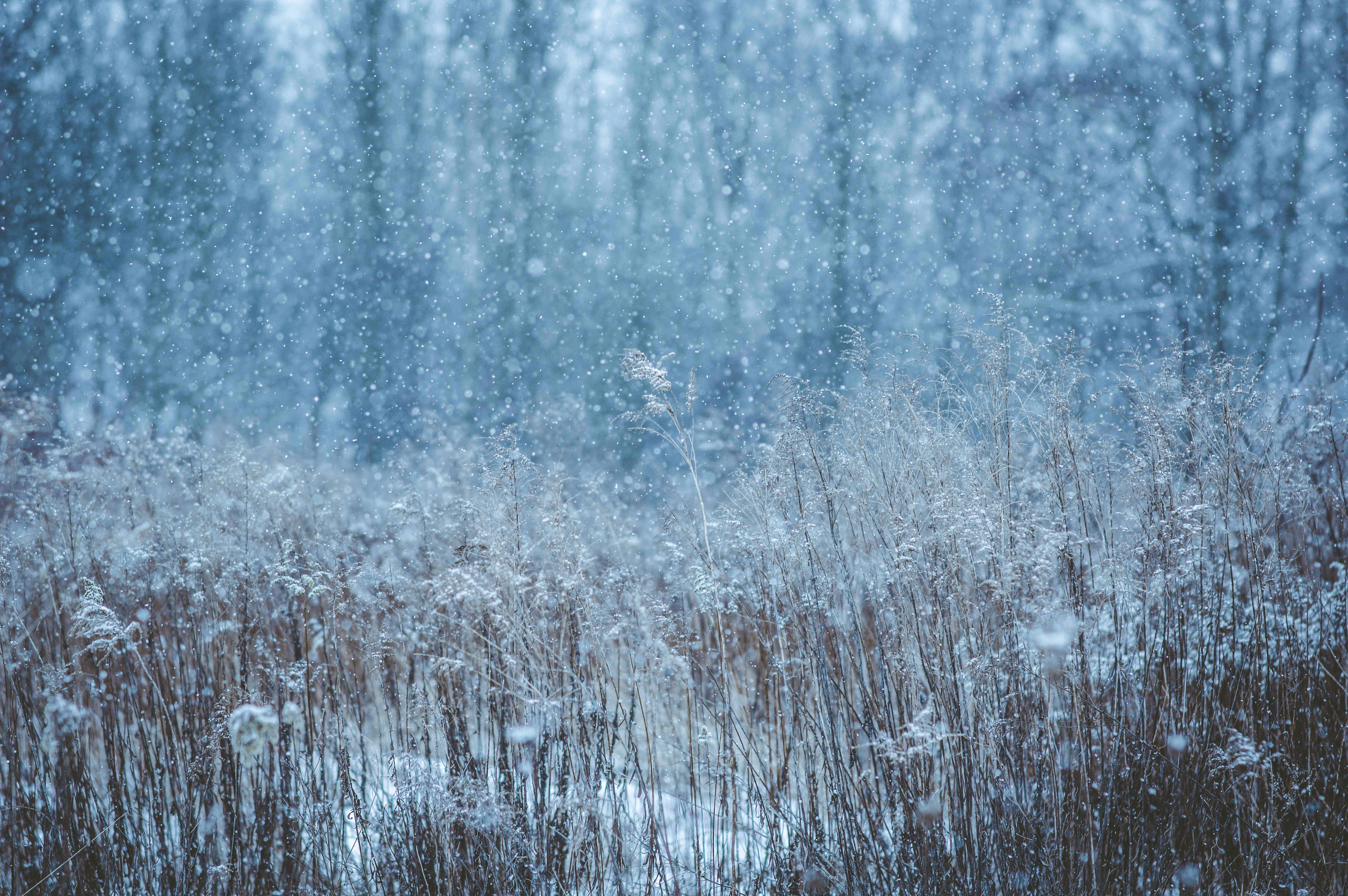 winter snow field 1574939439