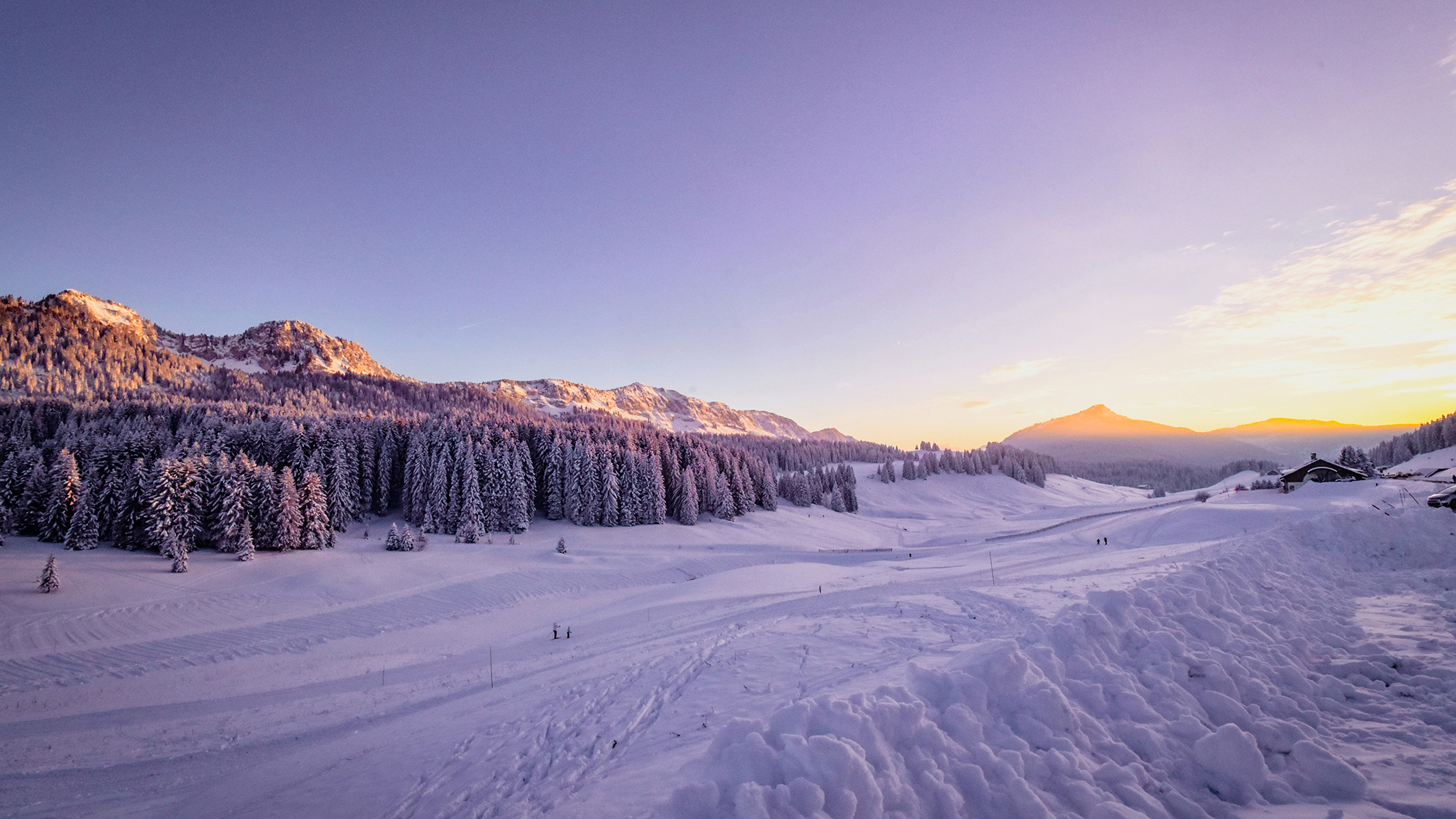 winter snow trees 1574939633