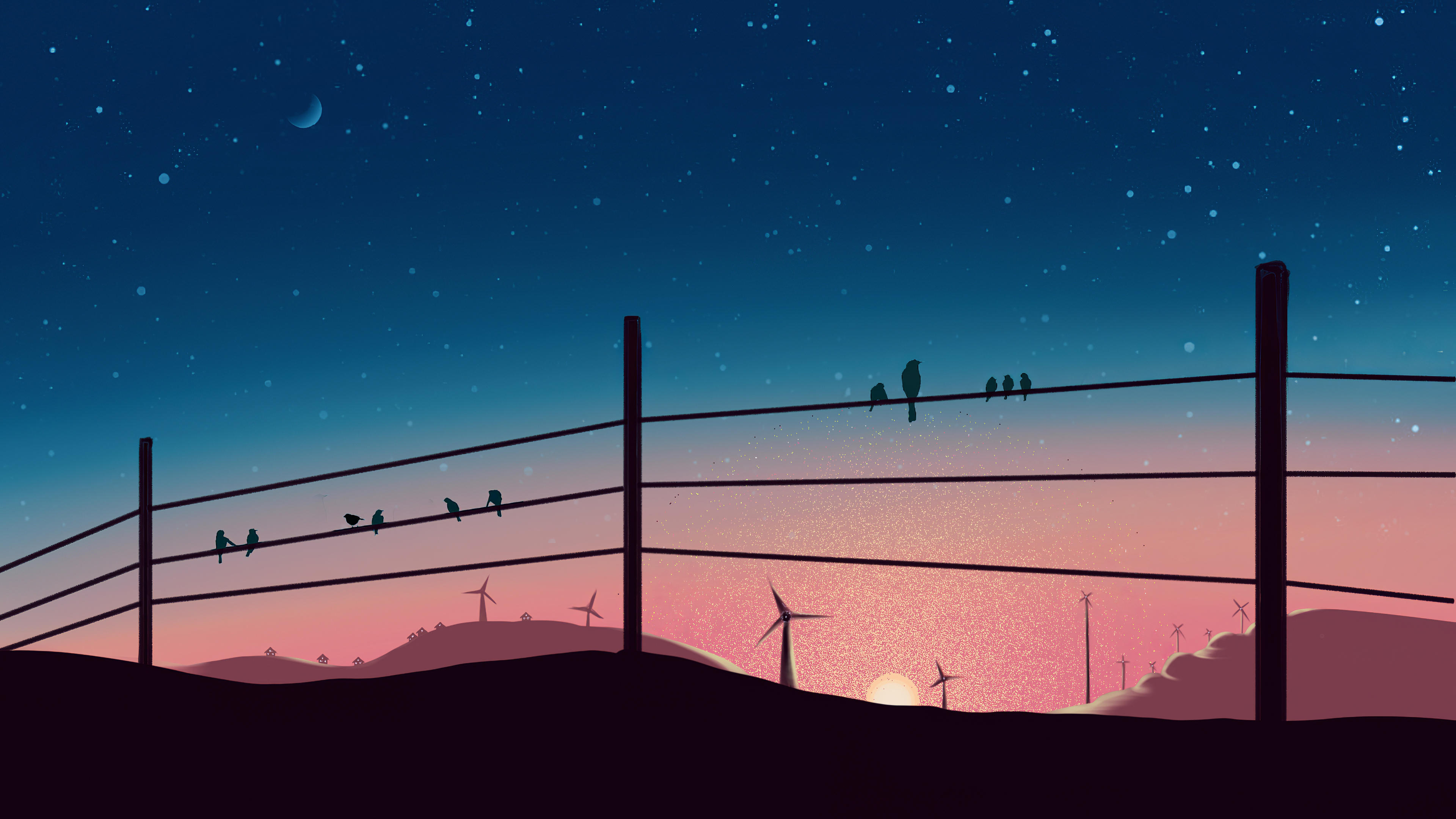 birds sitting on powerline 1575662979