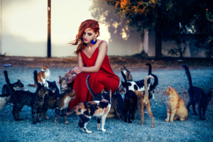 girl in red dress playing with cats 1575665946