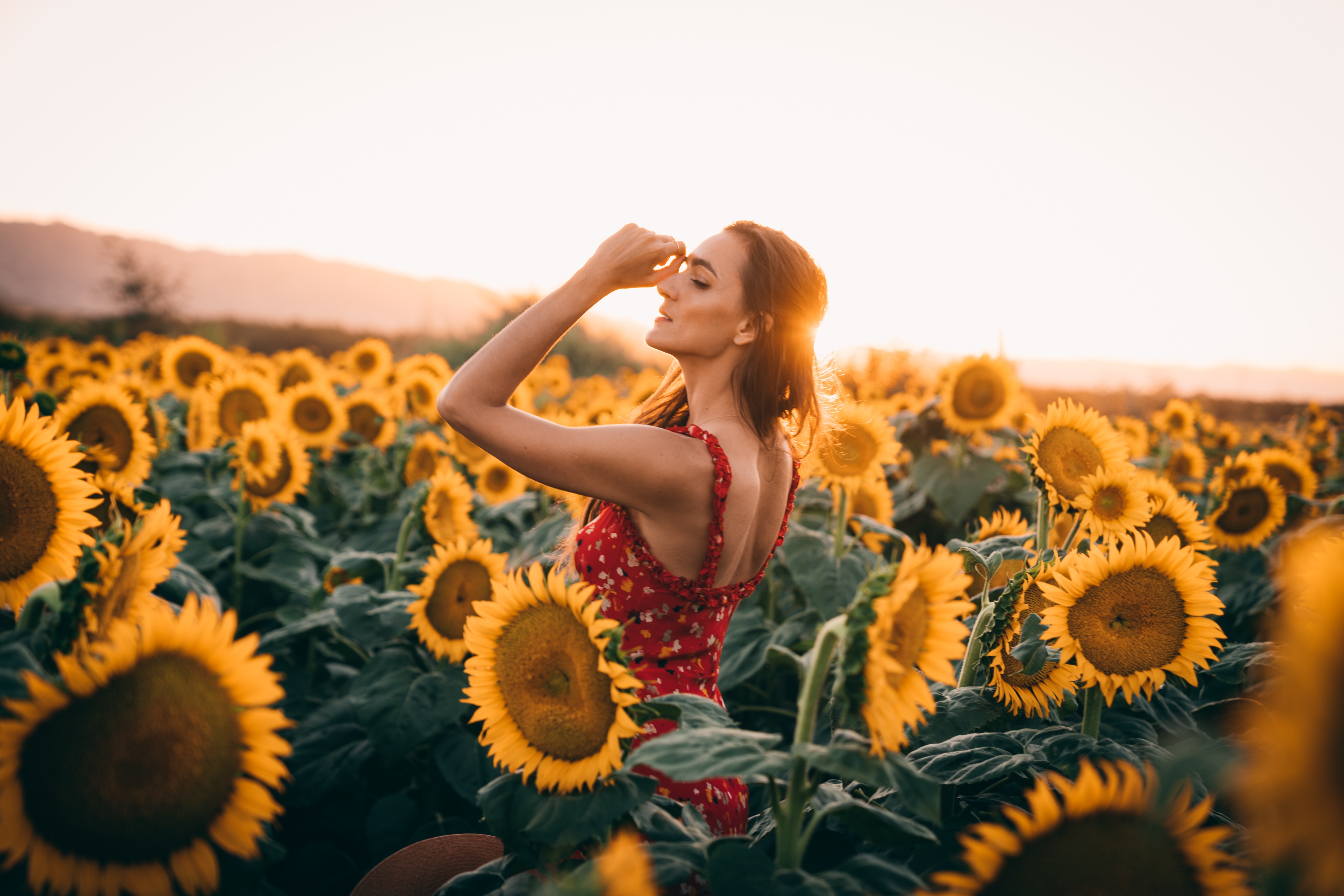 sunflowers field dress women 1575664983