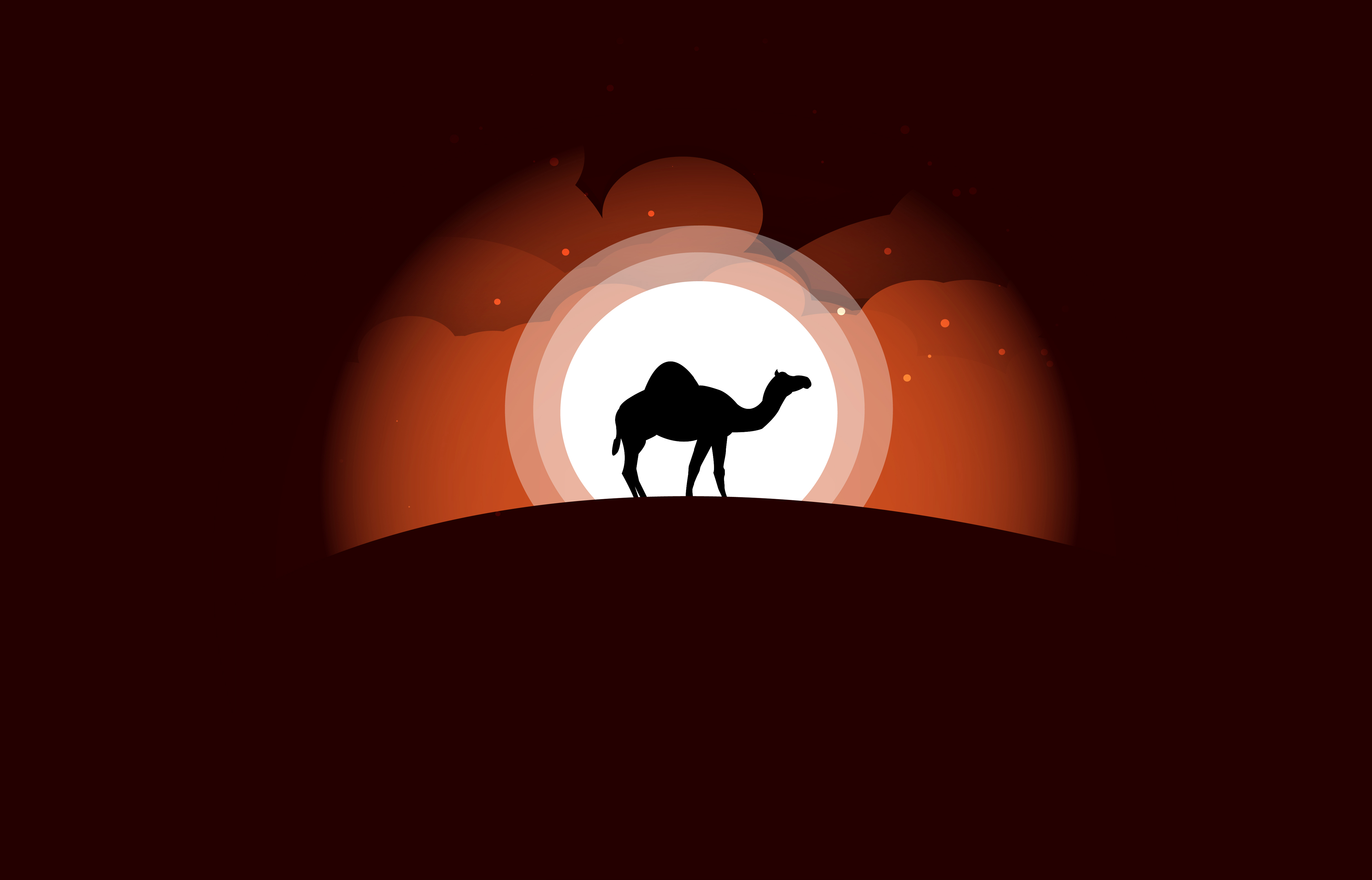 camel minimal art 1578254991